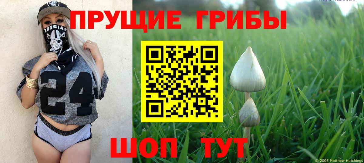 Псилоцибиновые грибы Psilocybine cubensis  Вход с VPN  Зерноград 