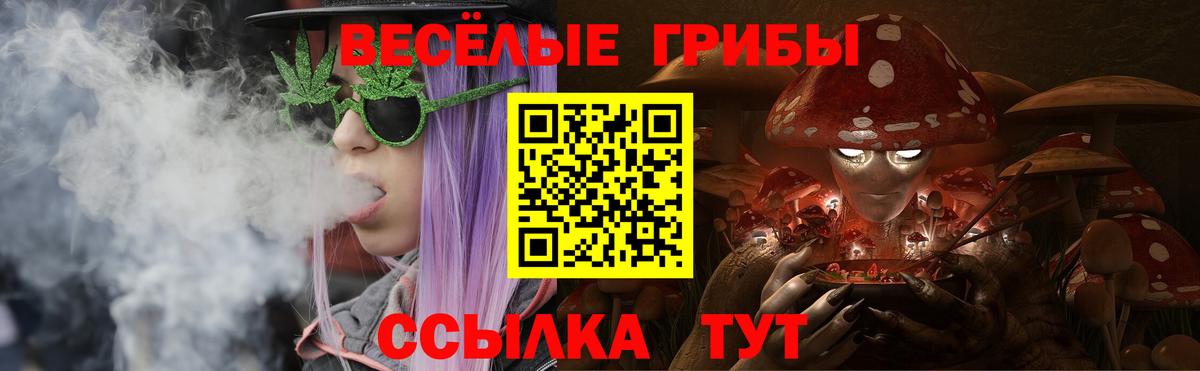 Галлюциногенные грибы Magic Shrooms Зерноград
