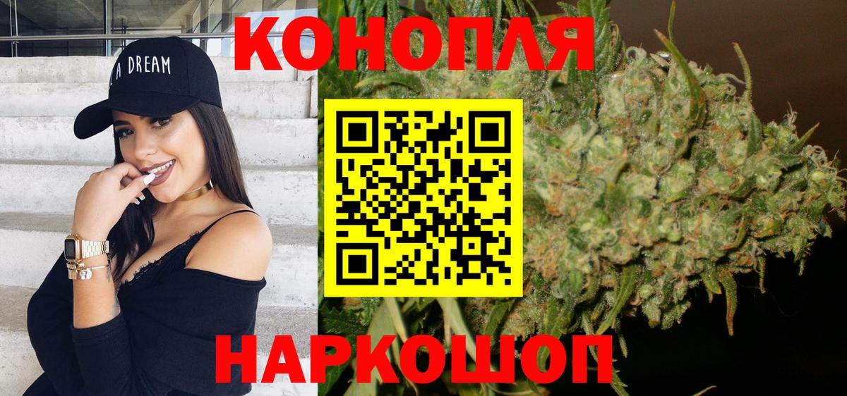 Бошки марихуана сатива Зерноград